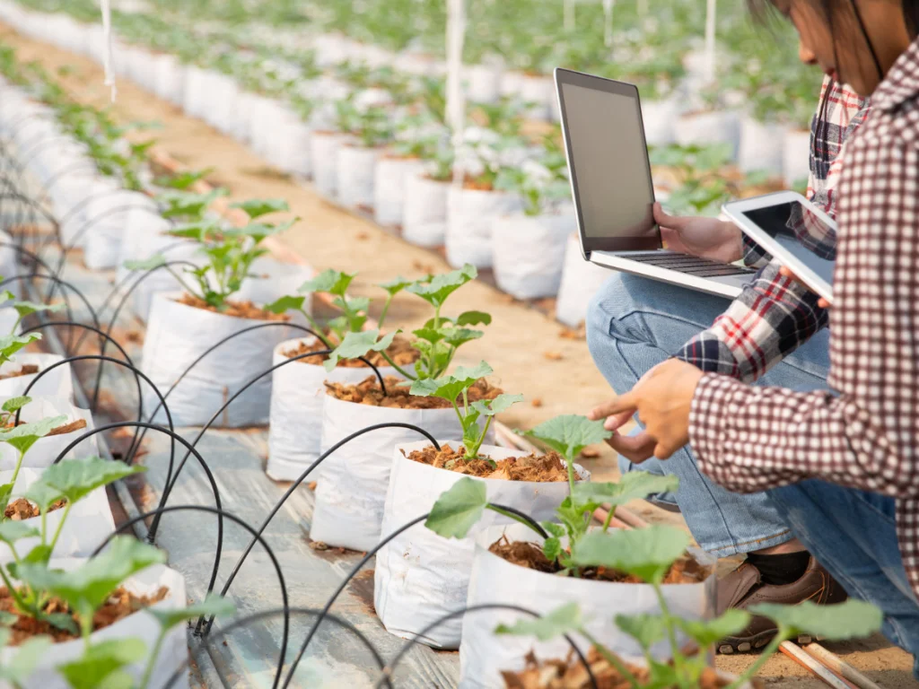 Cómo aplicar técnicas de inteligencia artificial en la agricultura para mejorar el riego