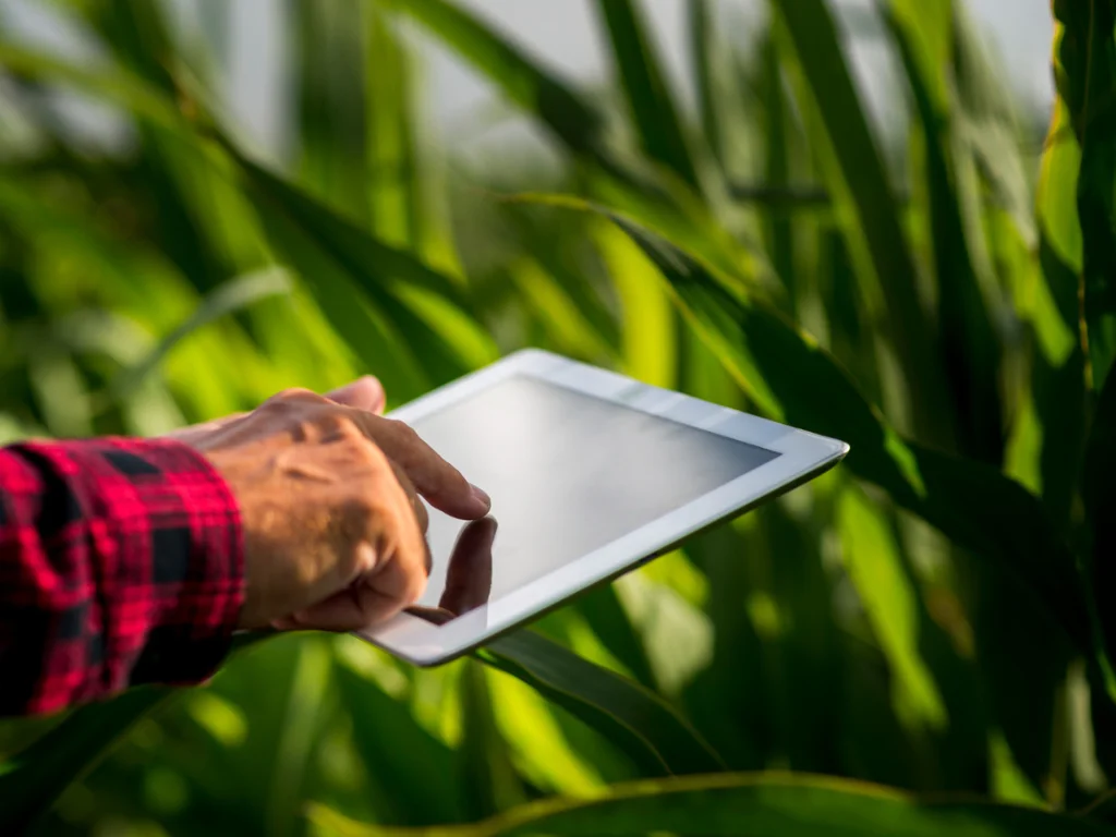 Cómo aplicar técnicas de inteligencia artificial en la agricultura para monitorear cultivos